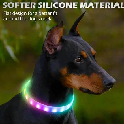 Lightweight USB Dog LED Pet Collar - Mad Fly Essentials