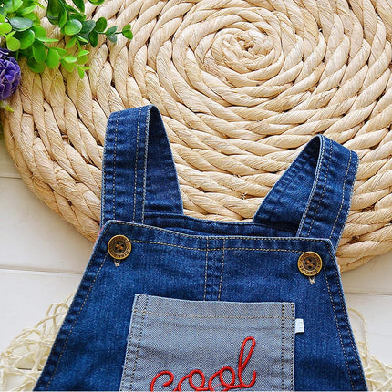 Clothing Set Baby Toddler Infant Denim Cars Set - Clothing Set - Diimuu - Mad Fly Essentials