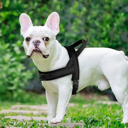 Pet Essentials Dog Collar Lead Vehicle Seatbelt Safety Harness - Pet Essentials - Idepet - Mad Fly Essentials