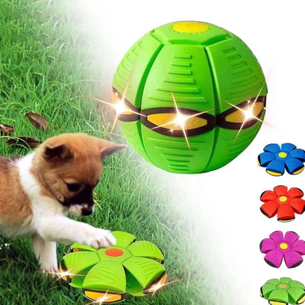 Funny Pet UFO Interactive Dog Toy