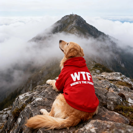 Pet Hoodies Dog Tank Top WTF Apparel - Pet Hoodies - PetBoss - Mad Fly Essentials