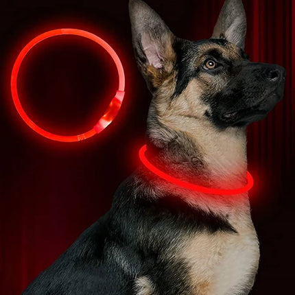 LED Pet Collar Luminous USB 3Mode-Loss Prevention Dog Collar - LED Pet Collar - Henkelion - Mad Fly Essentials