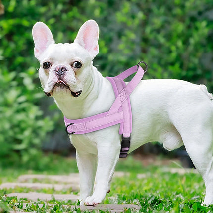 Pet Essentials Dog Collar Lead Vehicle Seatbelt Safety Harness - Pet Essentials - IDEPET - Mad Fly Essentials