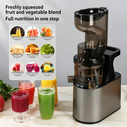 Kitchen Essentials Cold Press Juicer Blender - Kitchen Essentials - biolomix - Mad Fly Essentials