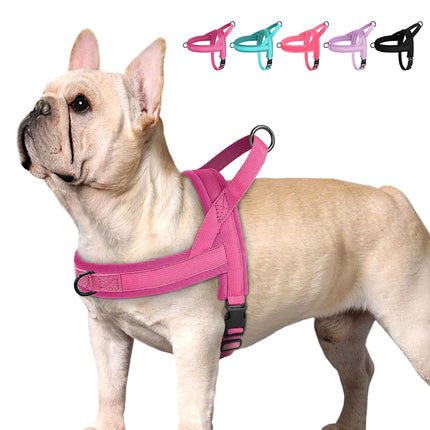 Pet Essentials Dog Collar Lead Vehicle Seatbelt Safety Harness - Pet Essentials - Idepet - Mad Fly Essentials