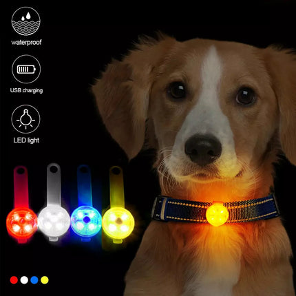 USB-Rechargeable Dog Anti-Lost LED Pet Collars