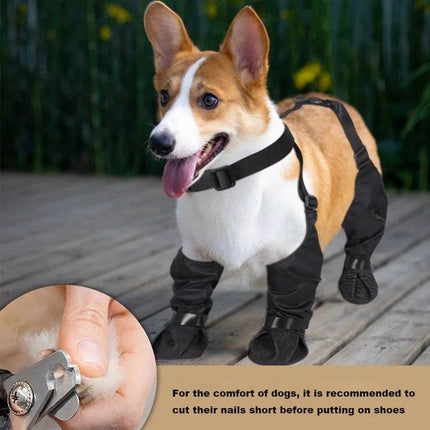 Adjustable Waterproof Pet Dog Boots - Mad Fly Essentials