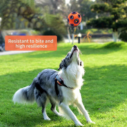 Dog Interactive Chew Toy Pet Essentials - Mad Fly Essentials