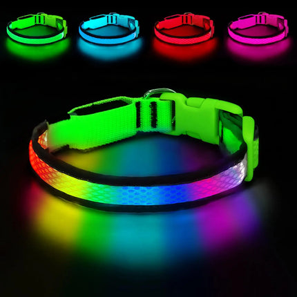 LED Pet Collar USB Rechargeable Pet Adjustable Cat Collar - LED Pet Collar - Kajipet - Mad Fly Essentials