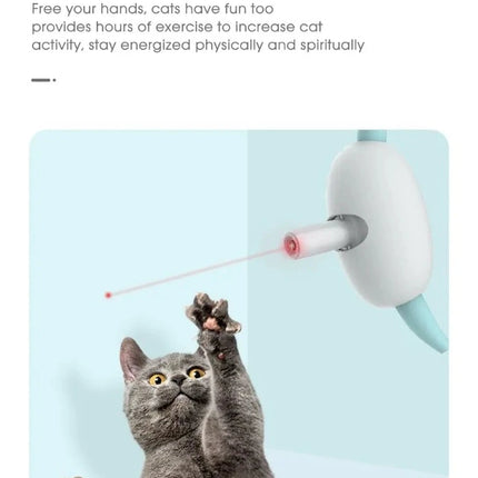 USB Smart Laser Teaser Cat Collar Toys