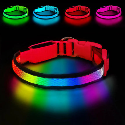 LED Pet Collar USB Rechargeable Pet Adjustable Cat Collar - LED Pet Collar - Kajipet - Mad Fly Essentials