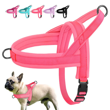 Pet Essentials Dog Collar Lead Vehicle Seatbelt Safety Harness - Pet Essentials - IDEPET - Mad Fly Essentials