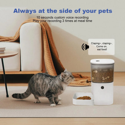 Pet Essentials Automatic 6ml Cat Feeder with Voice - Pet Essentials - Pupca - Mad Fly Essentials