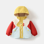 jacket2