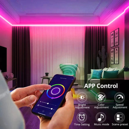 Homekit RGB LED Neon Smart Bluetooth 12V Strip Tape