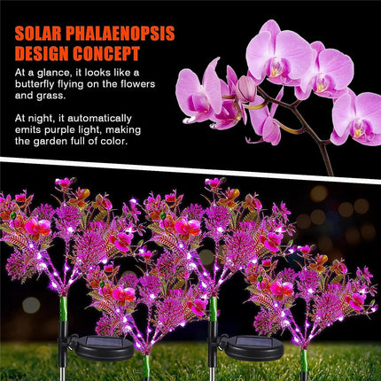 Solar LED Outdoor Garden Phalaenopsis Flower Light