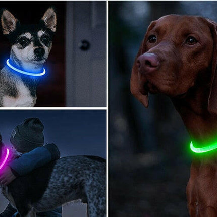 LED-USB Charging Luminous Pet Dog Collar - Pet Care Mad Fly Essentials