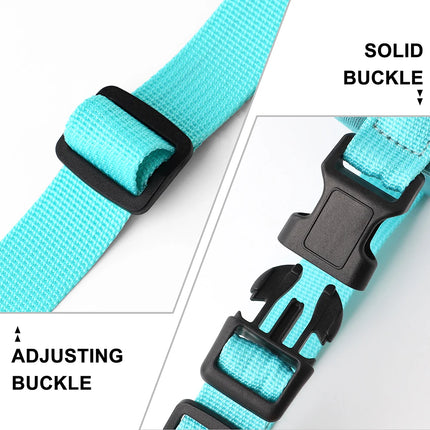 Pet Essentials Dog Collar Lead Vehicle Seatbelt Safety Harness - Pet Essentials - IDEPET - Mad Fly Essentials