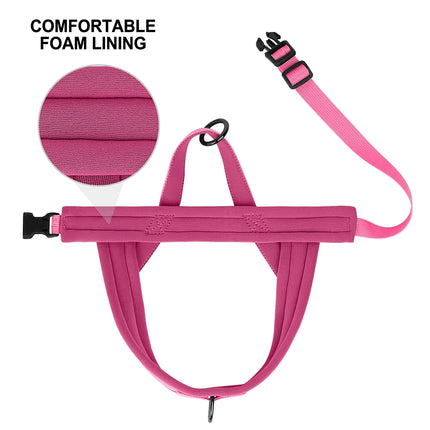 Pet Essentials Dog Collar Lead Vehicle Seatbelt Safety Harness - Pet Essentials - Idepet - Mad Fly Essentials