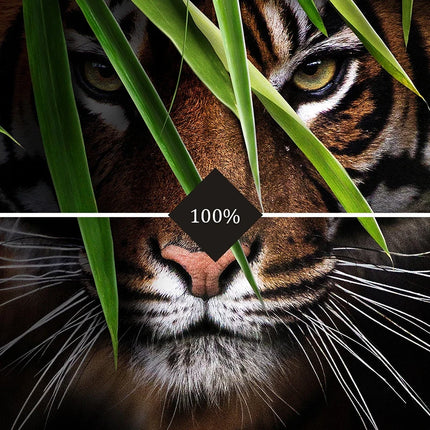 Custom 3D Tiger Animal Mural Wallpaper