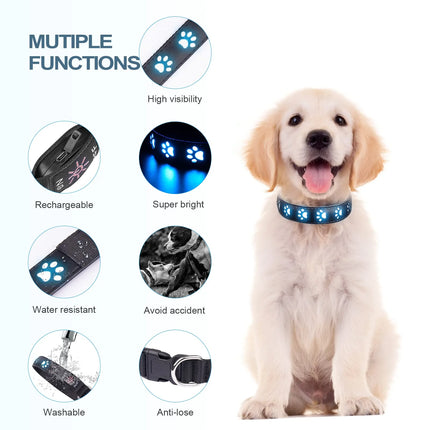 LED Pet Collar 7Mode USB Rechargeable Dog Collar - LED Pet Collar - JtoeB - Mad Fly Essentials
