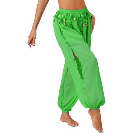 Harem Pants Women Belly Dance Sequin Arabic Costume Pants - Harem Pants - GPBD - Mad Fly Essentials