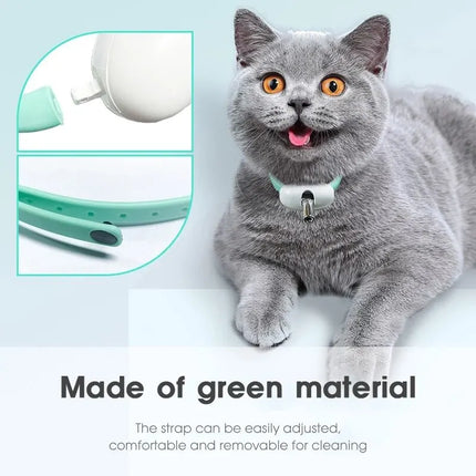 USB Smart Laser Teaser Cat Collar Toys