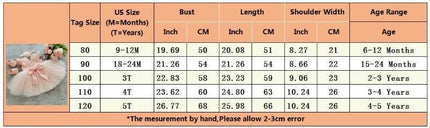 Baby Blue Pink Lace Floral Birthday Girl Party Dress - Party Dress - ABaby - Mad Fly Essentials