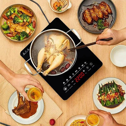 DMWD 110V Electric Induction Cooktop Kitchen Essentials - Kitchen Essentials - DMWD - Mad Fly Essentials
