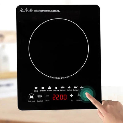 DMWD 110V Electric Induction Cooktop Kitchen Essentials - Kitchen Essentials - DMWD - Mad Fly Essentials
