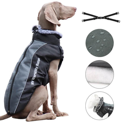Dog Apparel Black Jacket Pet Hoodies – Mad Fly Essentials