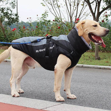 Dog Apparel Black Jacket Pet Hoodies – Mad Fly Essentials