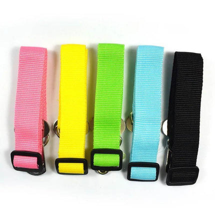 Dog Collar Lead Vehicle Seatbelt Safety Harness Pet Essentials - Pet Essentials - IDEPET - Mad Fly Essentials