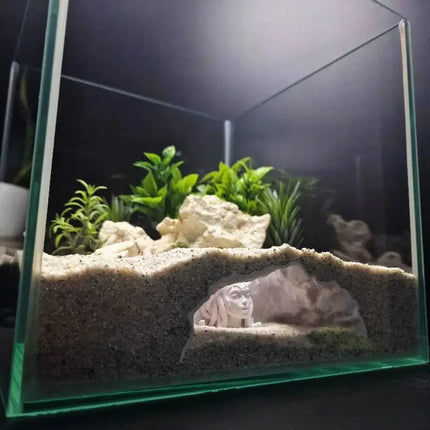 Fish Tank Decor Aquarium Medusa Cave Decor - Fish Tank Decor - Aquarius - Mad Fly Essentials