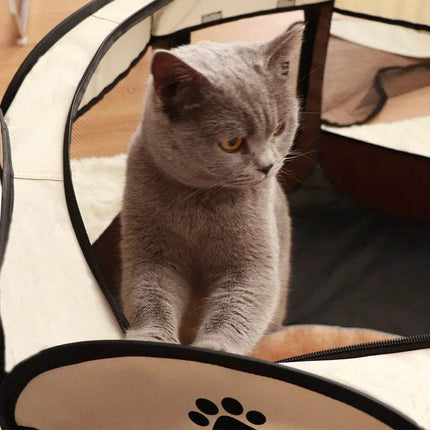Foldable Dog Cat Summer Playpen Pet Essentials - Pet Essentials - BOIN - Mad Fly Essentials