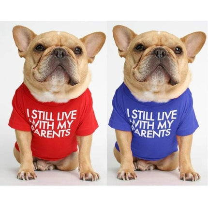 French Bulldog Summer Funny Dog Apparel Pet Essentials - Pet Essentials - IDEPET - Mad Fly Essentials