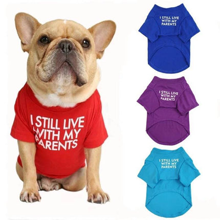 Bulldog Dog Apparel Pet Essentials - Mad Fly Essentials