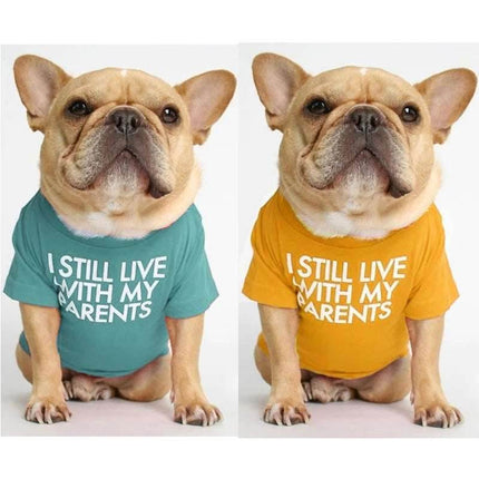 French Bulldog Summer Funny Dog Apparel Pet Essentials - Pet Essentials - IDEPET - Mad Fly Essentials