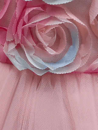 Girl Flower Lace Evening Princess Dress - Princess Dress - MyraKids - Mad Fly Essentials