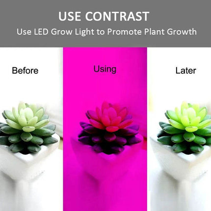 Grow Full SMD5050 Spectrum Phyto Strip LED Fairy Light - LED Fairy Light - HERULED - Mad Fly Essentials