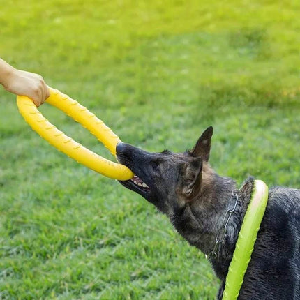 Interactive Training Ring Puller Toy Pet Essentials - Pet Essentials - XLeiPet - Mad Fly Essentials