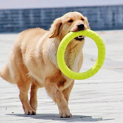 Interactive Pet Ring Toy Pet Essentials - Mad Fly Essentials