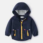 Navy 1