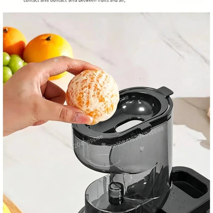 Kitchen Essentials Cold Press Juicer Blender - Kitchen Essentials - Biolomix - Mad Fly Essentials