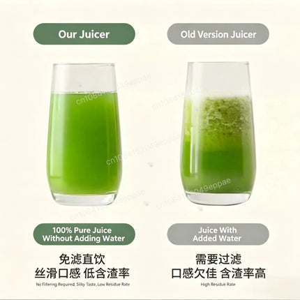 Kitchen Essentials Cold Press Juicer Blender - Kitchen Essentials - Biolomix - Mad Fly Essentials