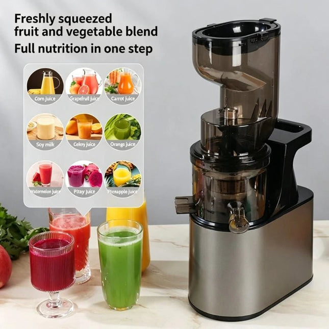 Kitchen Essentials Cold Press Juicer Blender - Kitchen Essentials - Biolomix - Mad Fly Essentials