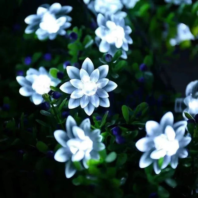 LED Garden Light Cherry Blossom Lotus Solar Lighting LED Garden Light Spazel Mad Fly Essentials