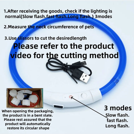 LED Pet Collar 3 Mode Anti-Lost USB Dog Collar LED Pet Collar Kajipet Mad Fly Essentials