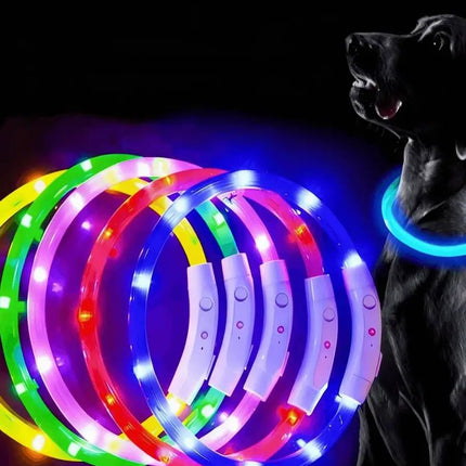 LED Pet Collar 3 Mode Anti-Lost USB Dog Collar LED Pet Collar Kajipet Mad Fly Essentials