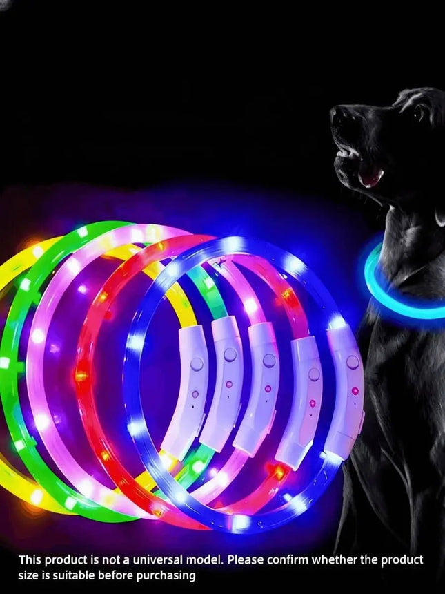 LED Pet Collar 3 Mode Anti - Lost USB Dog Collar - LED Pet Collar - Kajipet - Mad Fly Essentials
